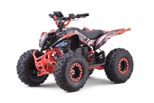 Quad  48V ATV016E