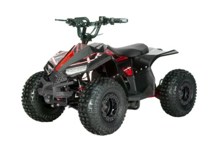 https://toysforkids.com.au/kids-toys/quad-48v-atv016e/