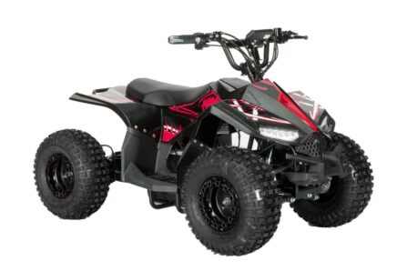 48V Electric Quad bike ride on