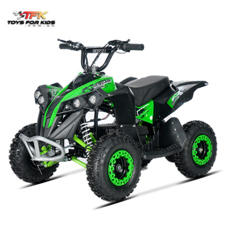 Quad Bike 1000W 36VBRUSH MOTOR ATV