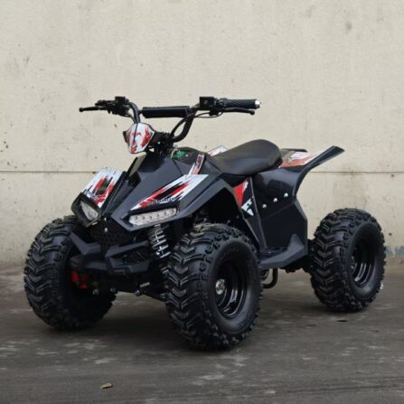 Quad Bike ATV
